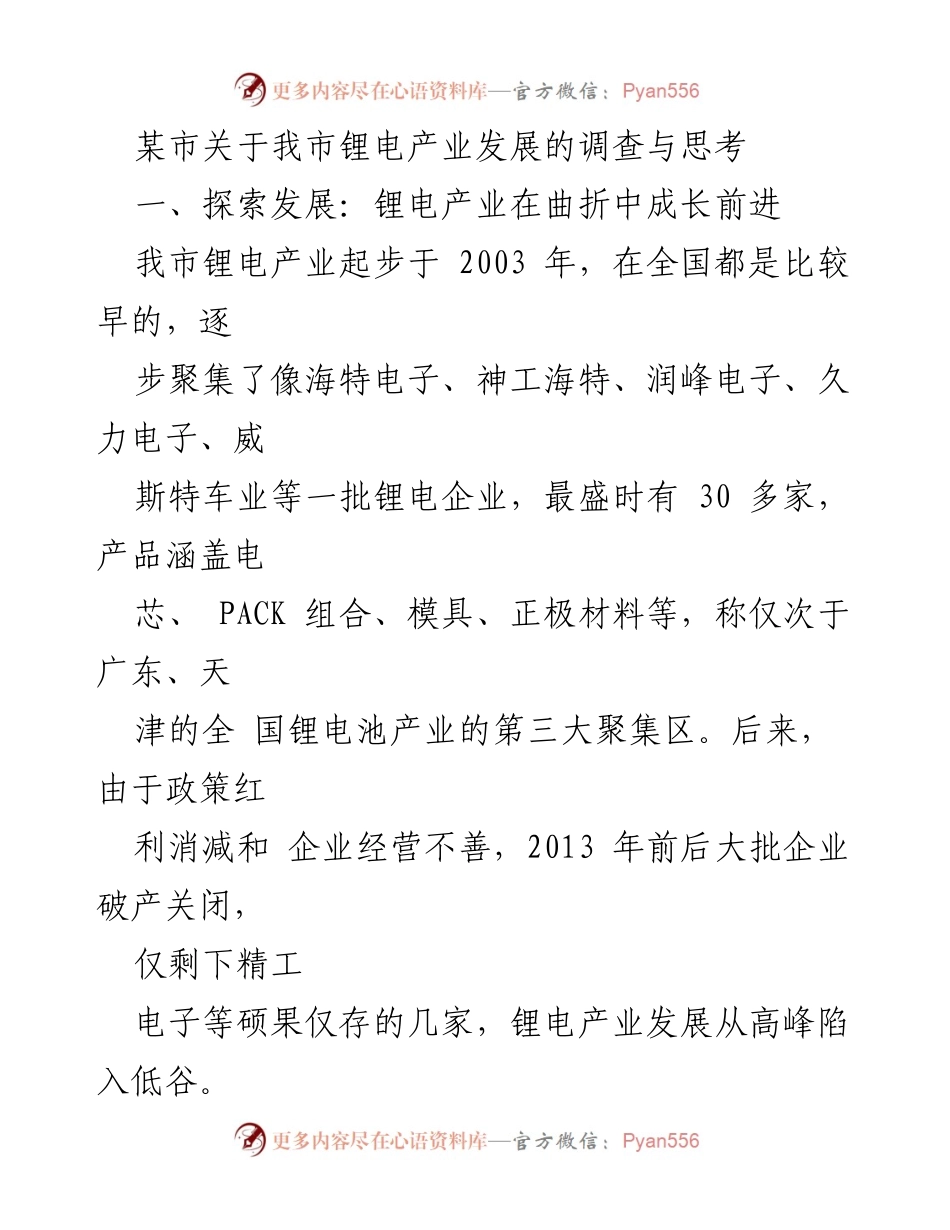 [调研报告] 锂电产业发展 - 某市锂电产业发展的现状与未来展望.docx_第1页