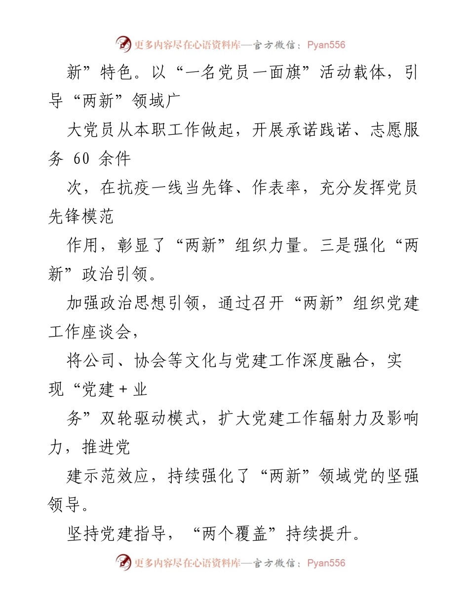 [述职报告] 党建工作总结 - 2022年度“两新”工委书记抓基层党建述职报告汇编.docx_第2页
