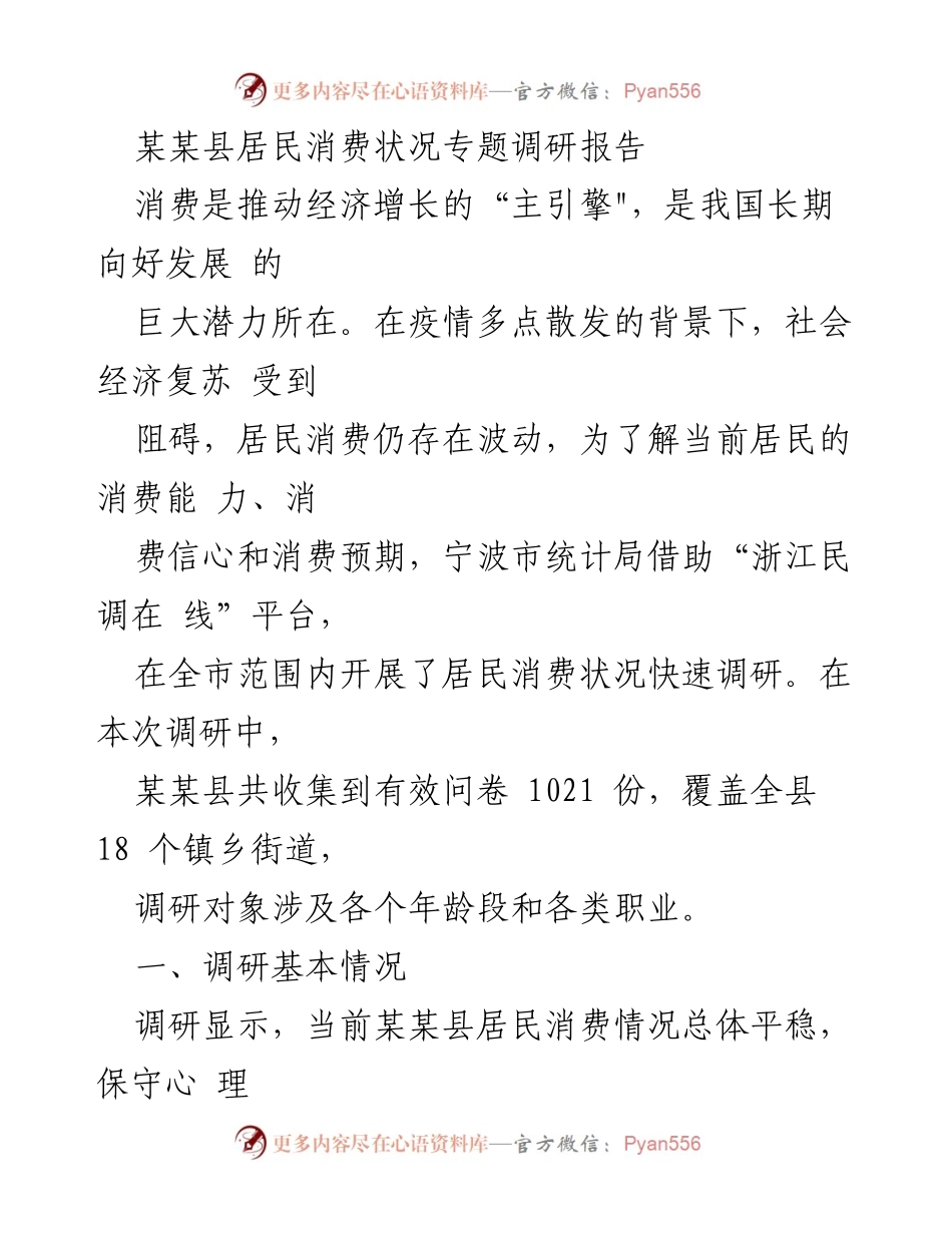 [调研报告] 某某县居民消费状况 - 某某县居民消费状况调研分析报告.docx_第1页