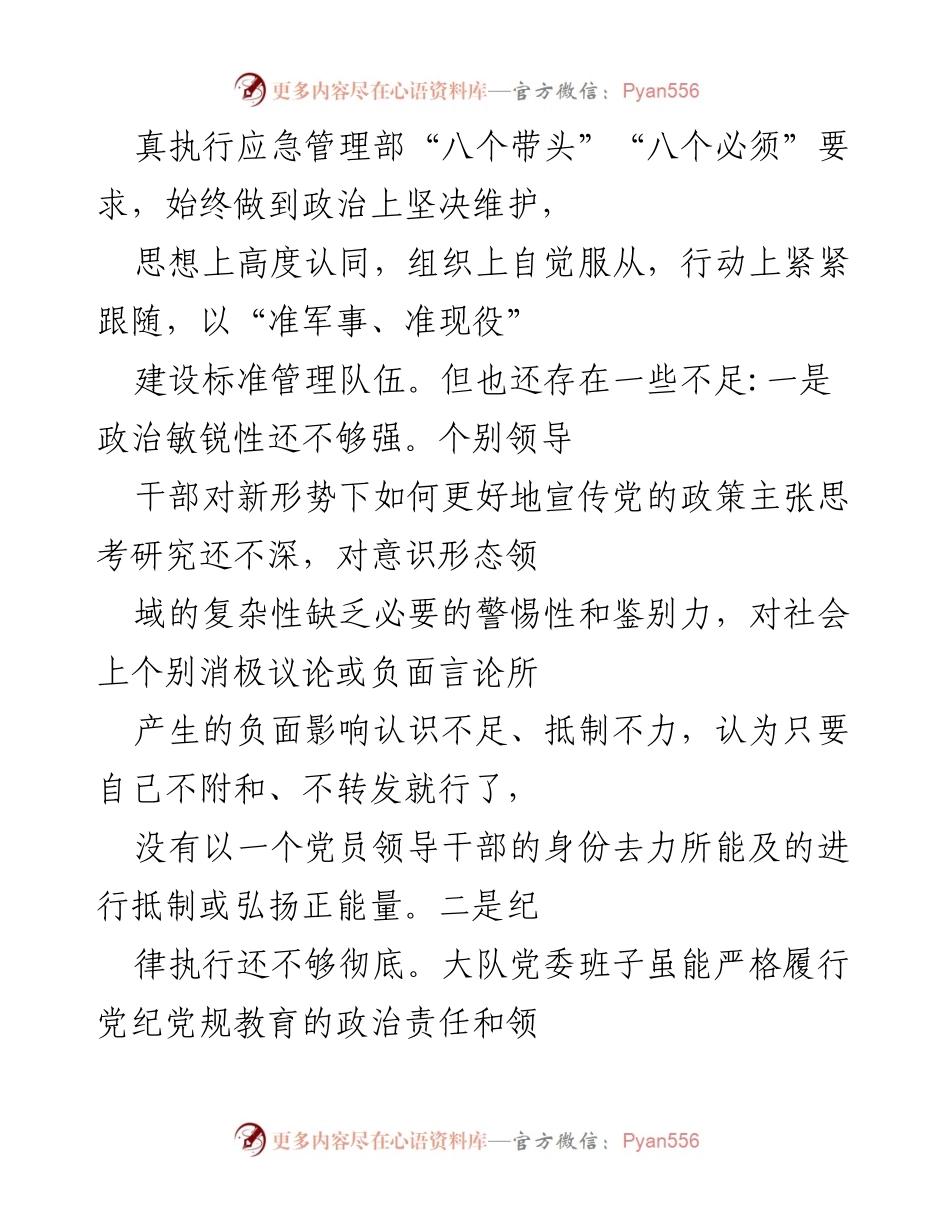 [调研报告] 消防救援队伍 - 深入检视问题，强化从严治党责任.docx_第2页