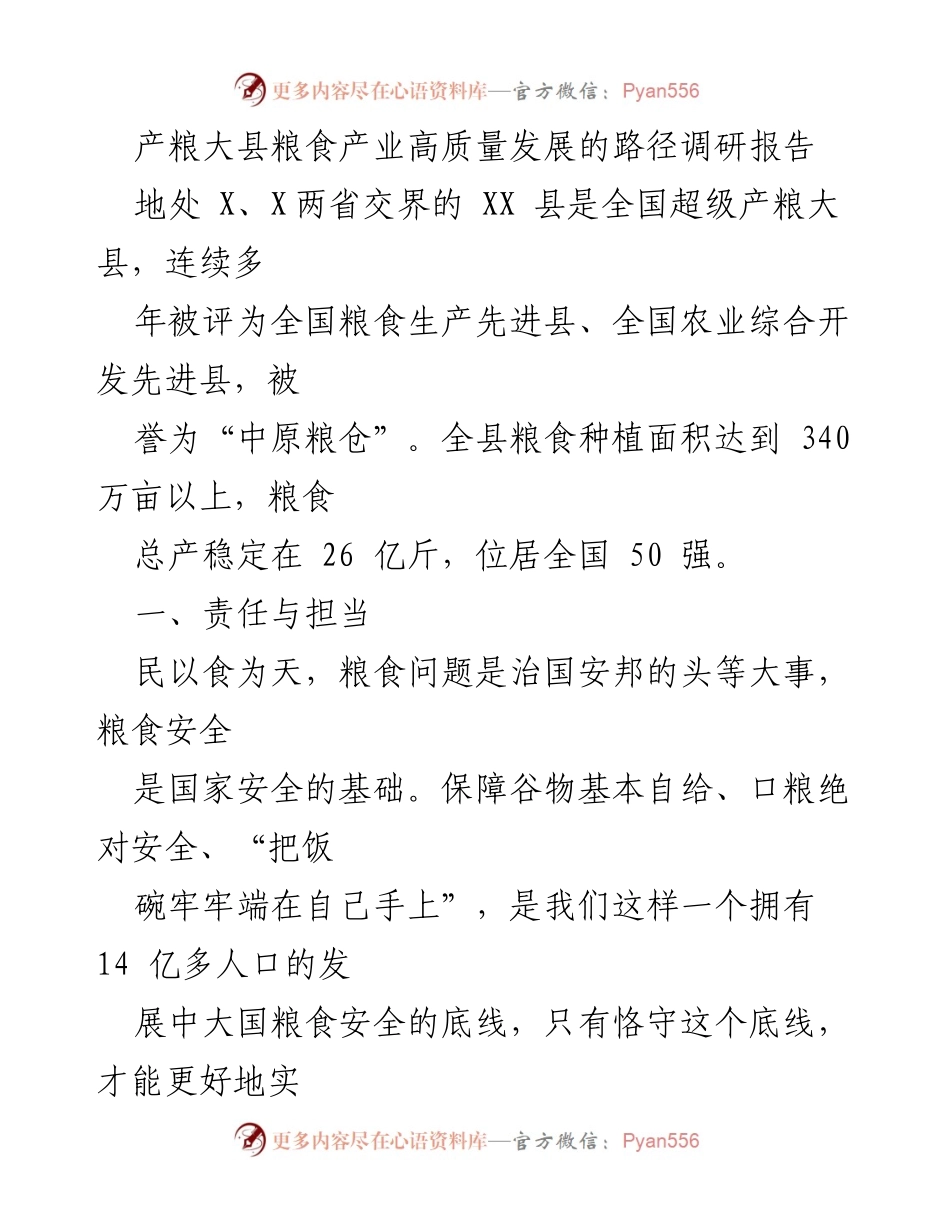 [调研报告] 粮食产业 - 产粮大县粮食产业高质量发展路径研究.docx_第1页