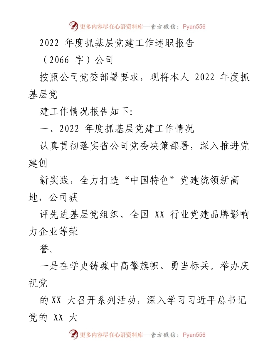[述职报告] 公司年度总结 - 2022年度基层党建工作述职报告.docx_第1页