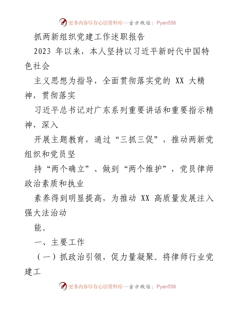 [述职报告] 两新组织党建工作 - 2023年度两新组织党建工作述职报告.docx_第1页