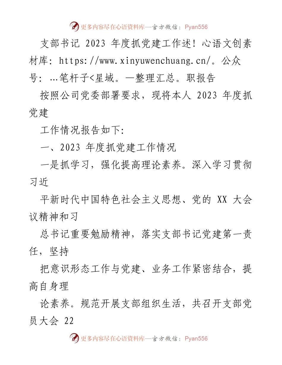 [述职报告] 党建工作 - 2023年度支部书记党建工作述职报告_2.docx_第1页