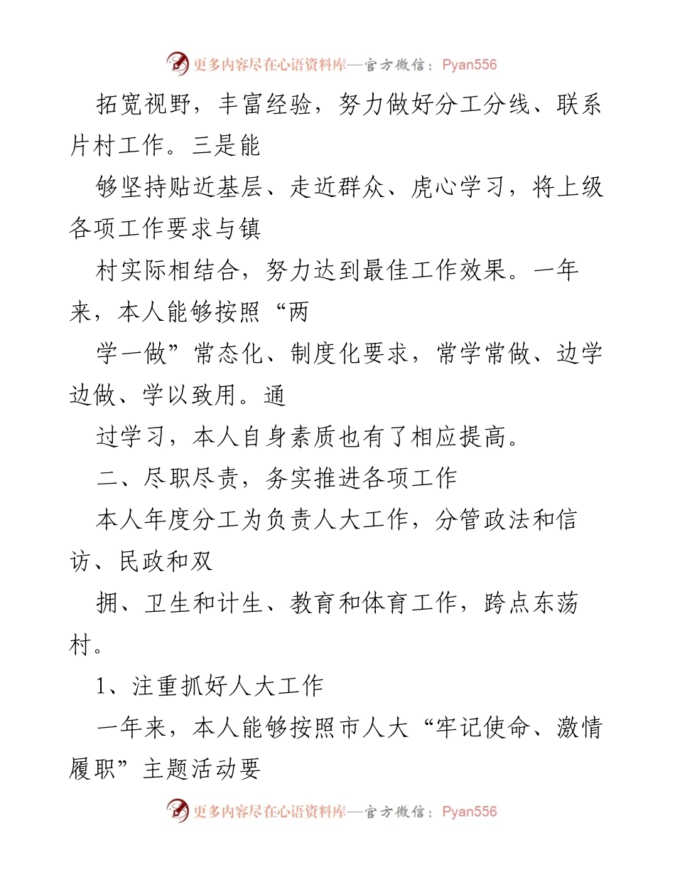[述职报告] 乡镇领导述职 - 乡镇人大士席、政法委书记述职述廉报告.docx_第2页