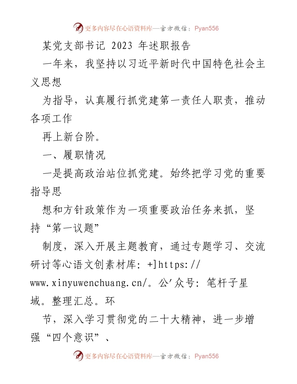 [述职报告] 党支部工作总结 - 2023年党支部书记述职报告_1.docx_第1页