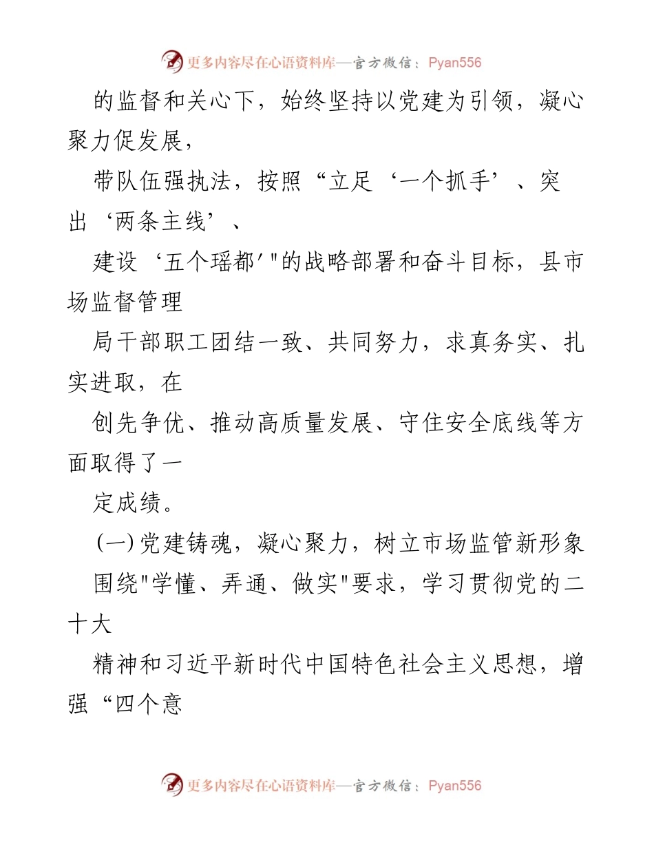 [调研报告] 自治县市场监督管理 - 某某自治县市场监督管理工作调研报告.docx_第2页