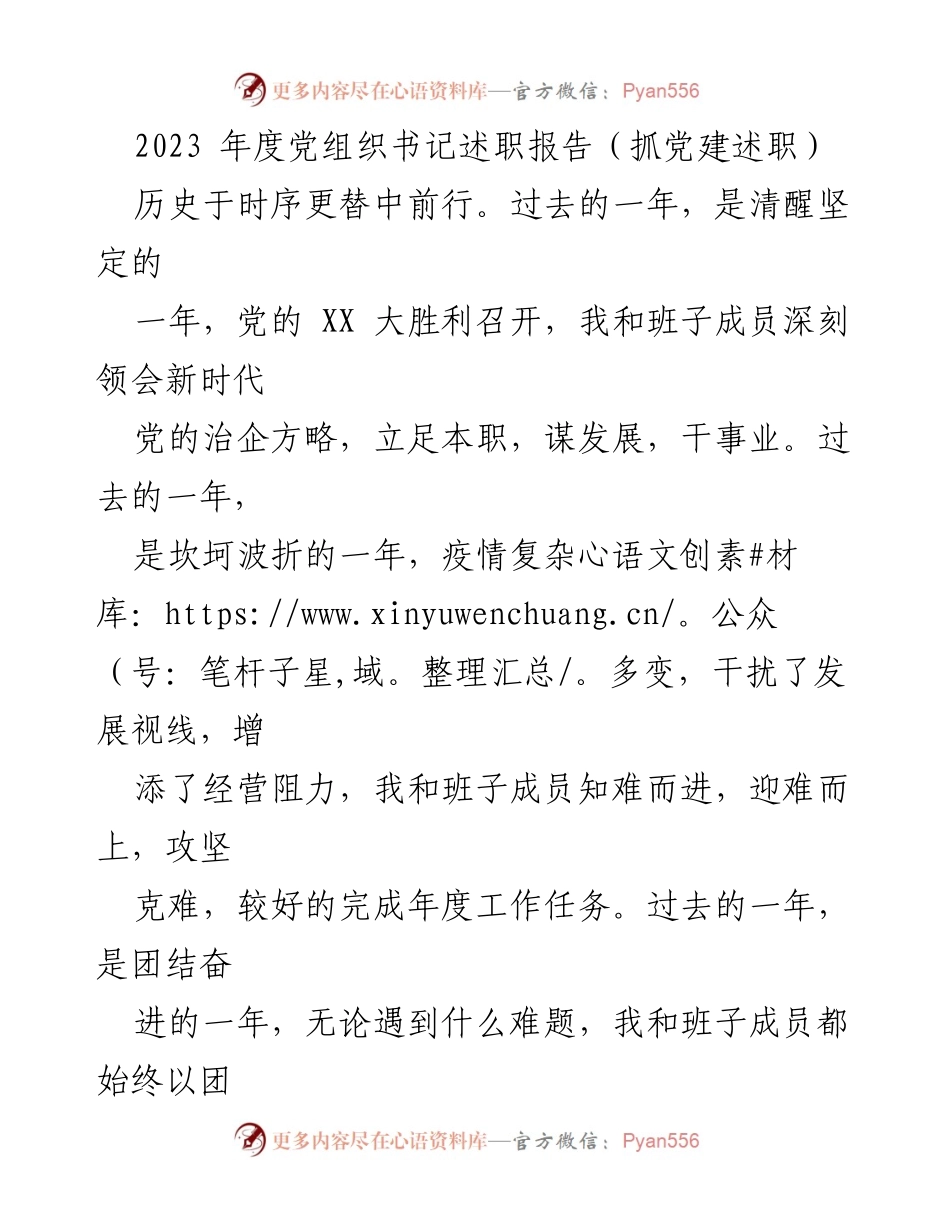 [述职报告] 党建工作 - 2023年度党组织书记述职报告总结与反思.docx_第1页