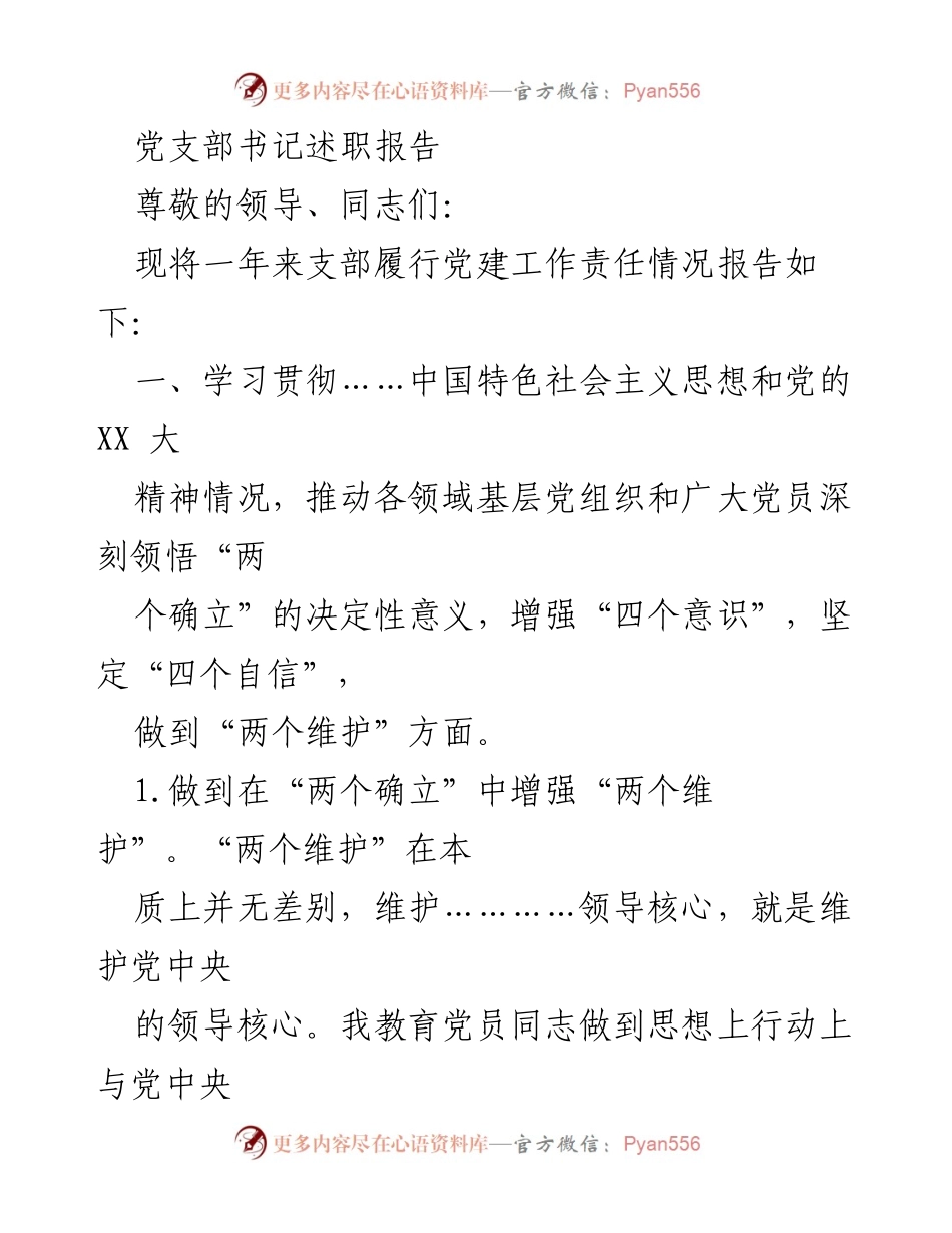 [述职报告] 党支部工作 - 党支部书记年度述职总结报告.docx_第1页