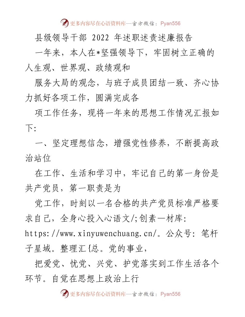 [述职报告] 县级领导干部 - 2022年度述职述责述廉总结报告.docx_第1页