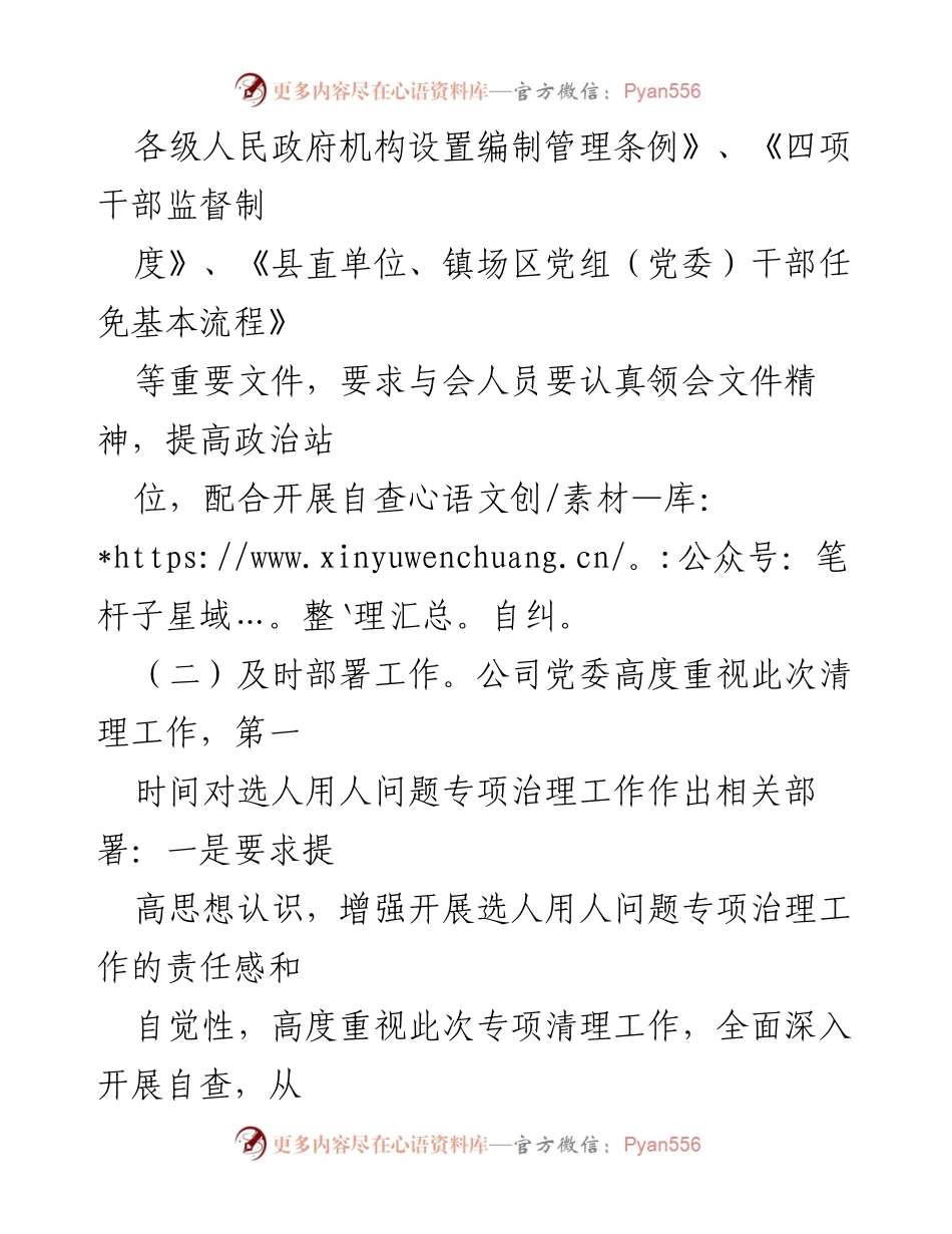 [调研报告] 选人用人专项治理 - 关于选人用人问题专项治理工作自查整改情况报告.docx_第2页