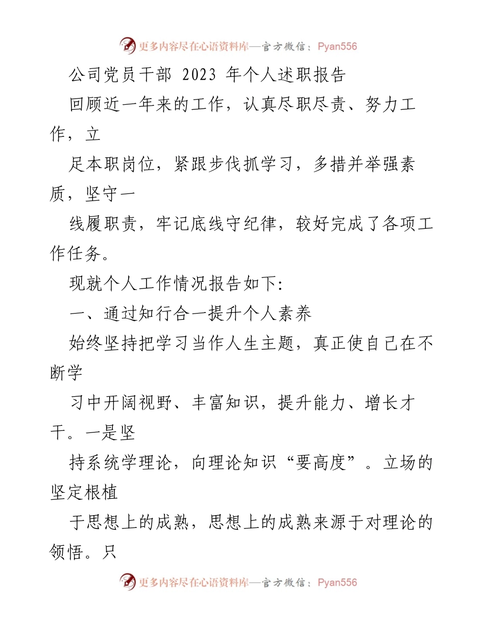 [述职报告] 公司党员干部 - 2023年度个人工作述职报告.docx_第1页