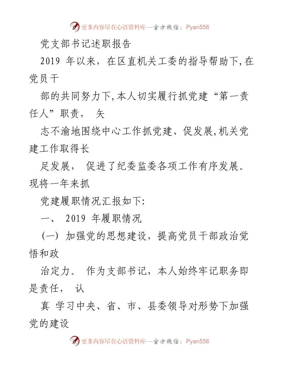 [述职报告] 党支部工作总结 - 2019年度党支部书记述职报告.docx_第1页