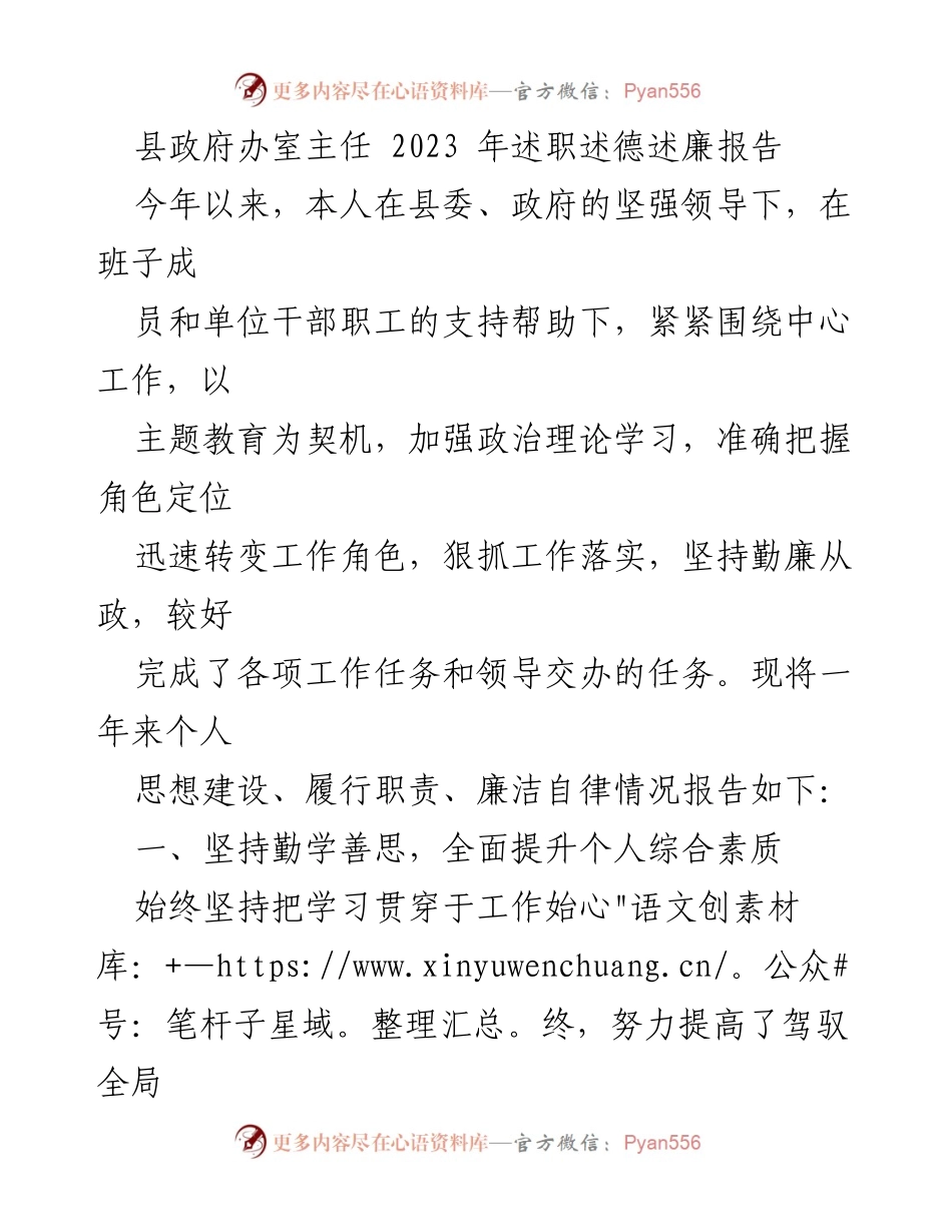[述职报告] 县政府 - 2023年度述职述德述廉报告.docx_第1页