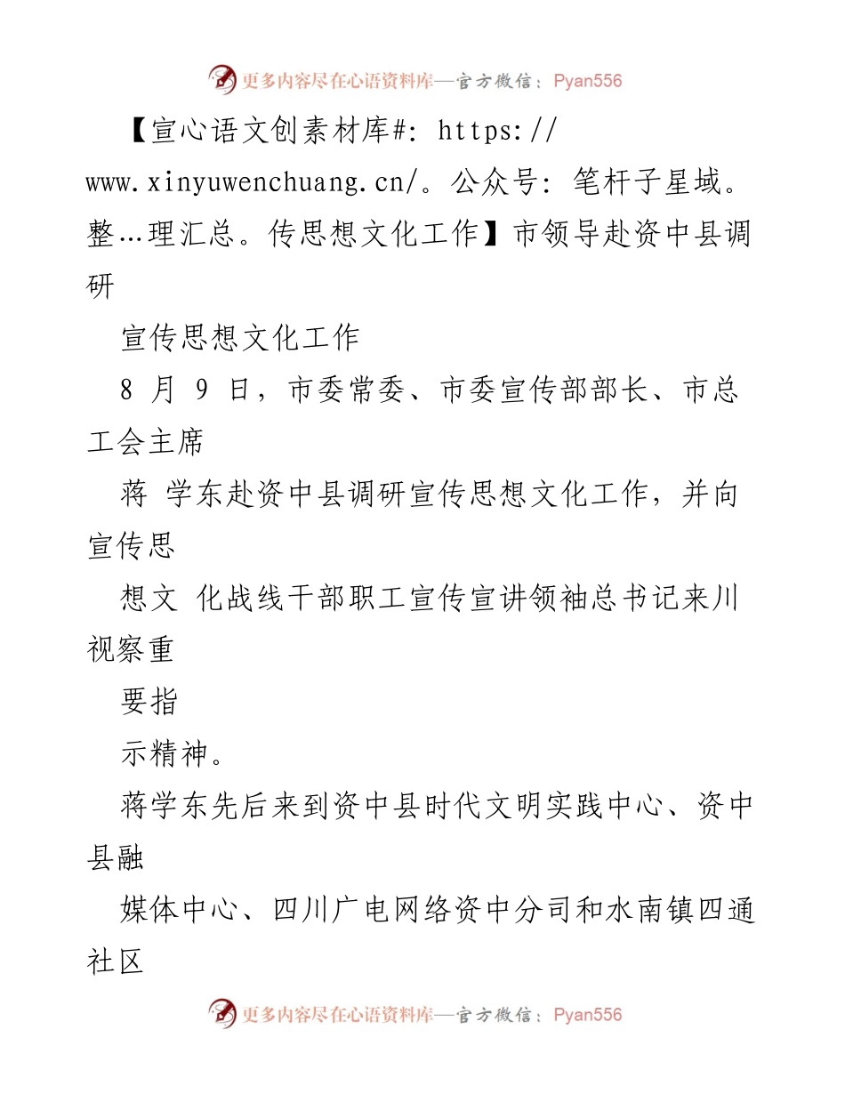 [调研报告] 市领导调研 - 资中县宣传思想文化工作调研总结.docx_第1页