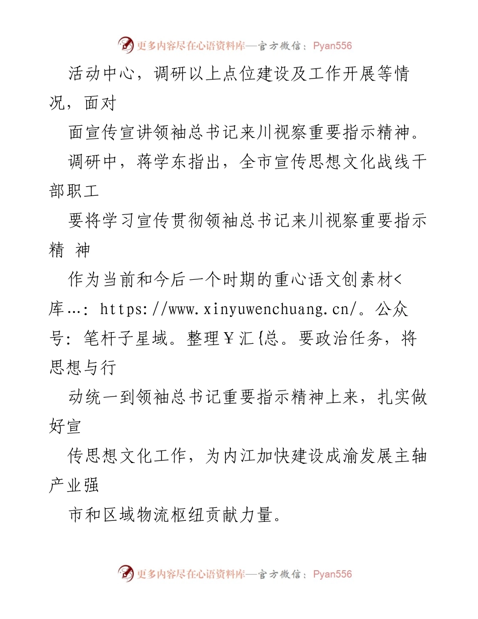 [调研报告] 市领导调研 - 资中县宣传思想文化工作调研总结.docx_第2页