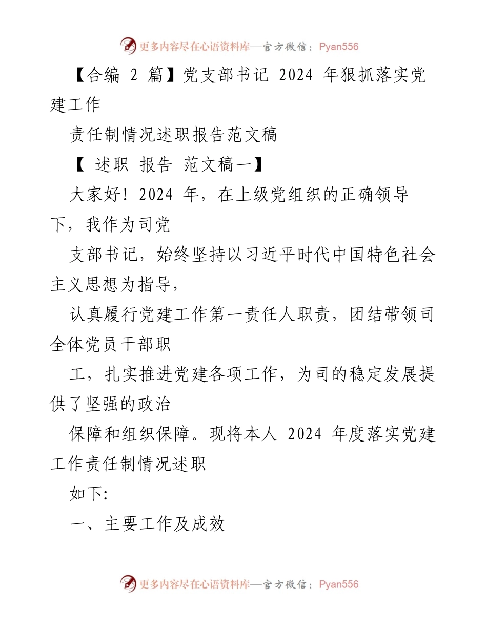 [述职报告] 党建工作 - 2024年度党支部书记党建工作责任制述职报告.docx_第1页