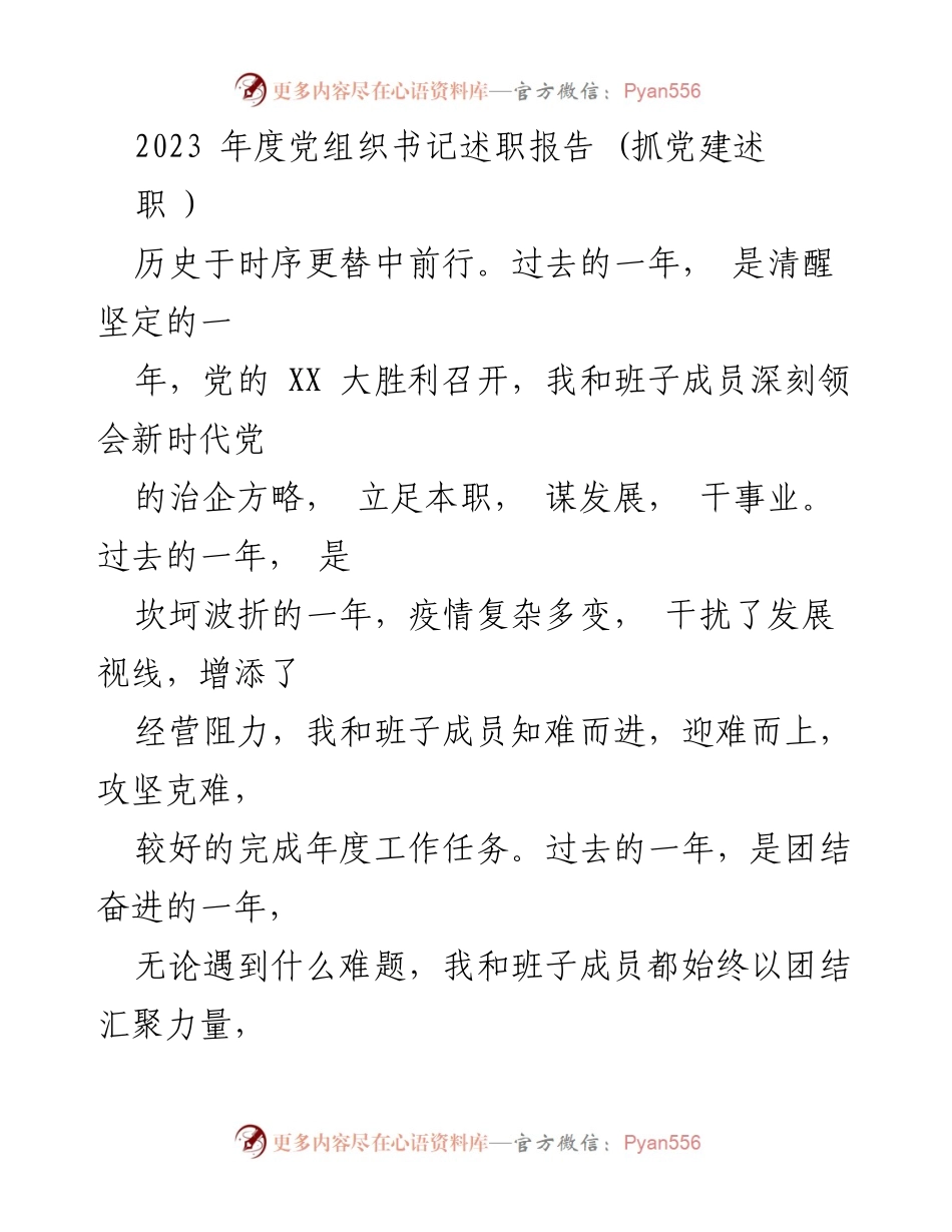 [述职报告] 党建工作 - 2023年度党组织书记述职报告总结.docx_第1页