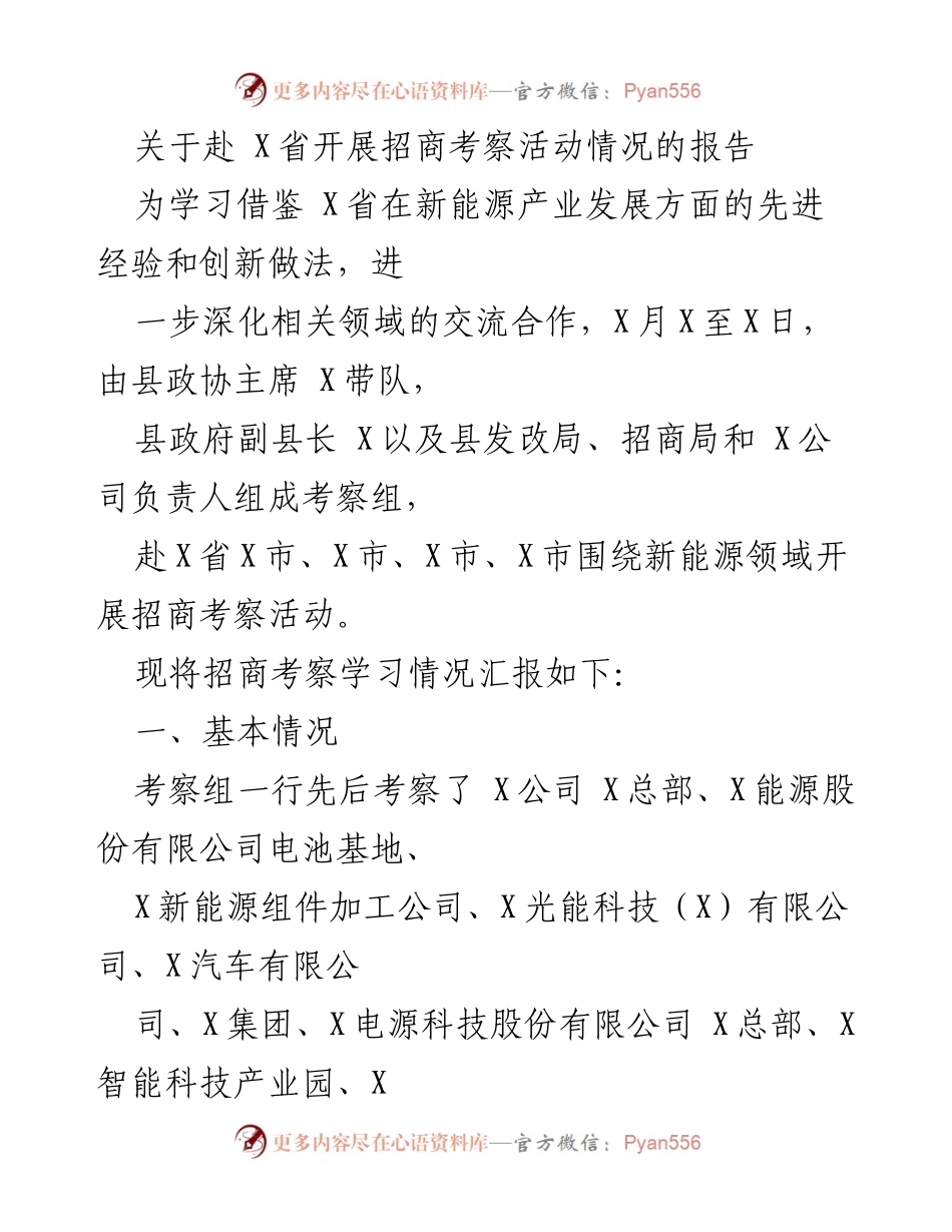 [调研报告] 招商考察活动 - 赴X省新能源产业招商考察活动情况总结.docx_第1页