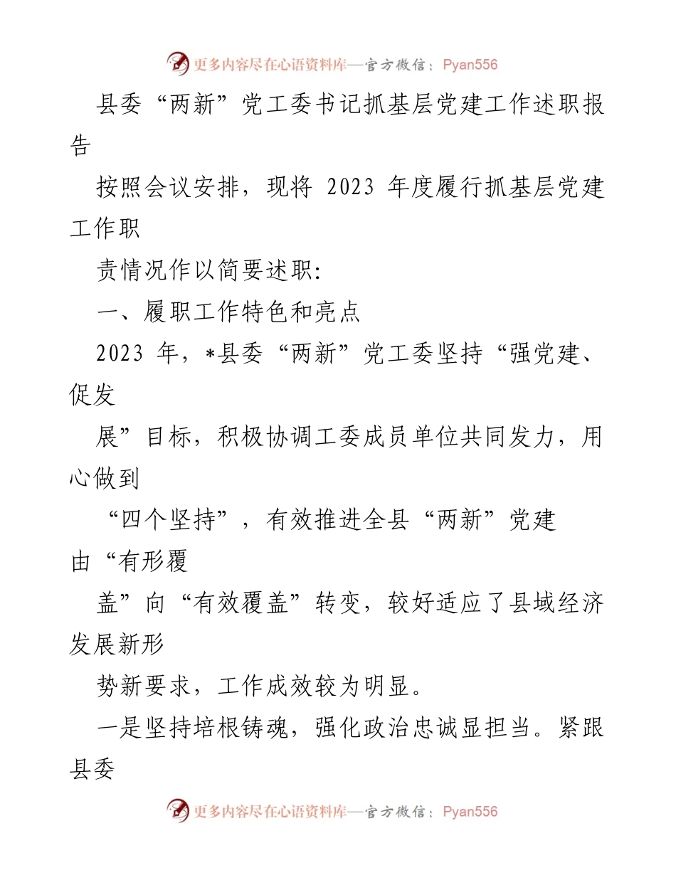 [述职报告] 会议 - 2023年度县委“两新”党工委书记抓基层党建工作总结.docx_第1页