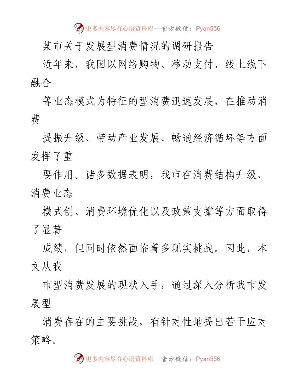 [调研报告] 消费发展 - 某市发展型消费现状与挑战分析.docx_第1页