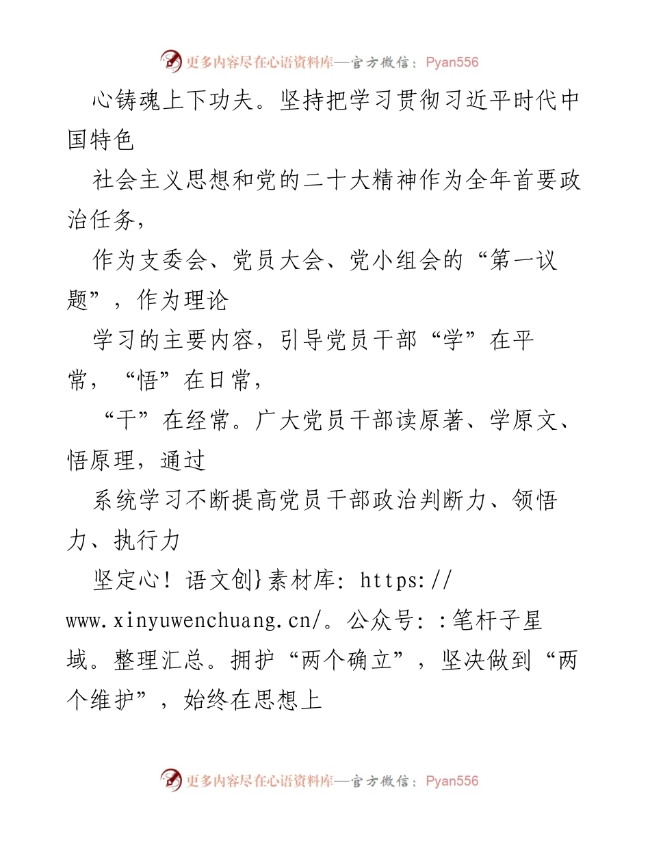 [述职报告] 党建工作 - 2023年党支部书记抓党建工作述职报告.docx_第2页