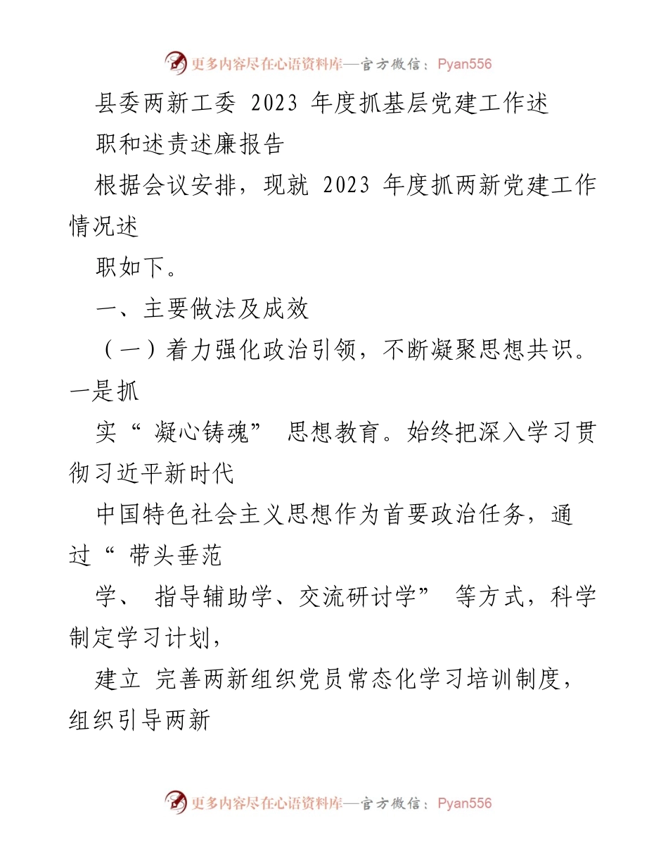 [述职报告] 县委两新工委会议 - 2023年度两新党建工作述职与成效分析.docx_第1页