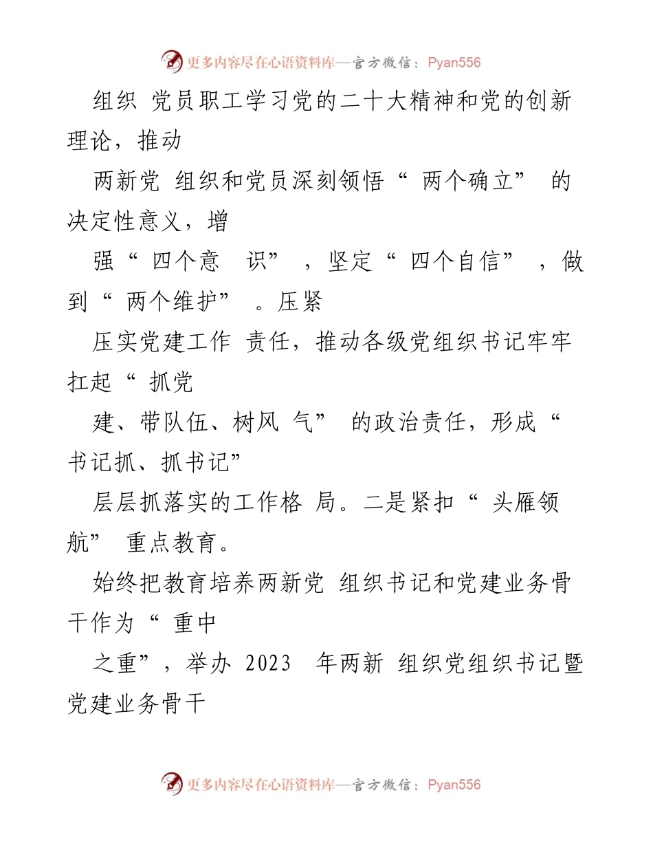 [述职报告] 县委两新工委会议 - 2023年度两新党建工作述职与成效分析.docx_第2页