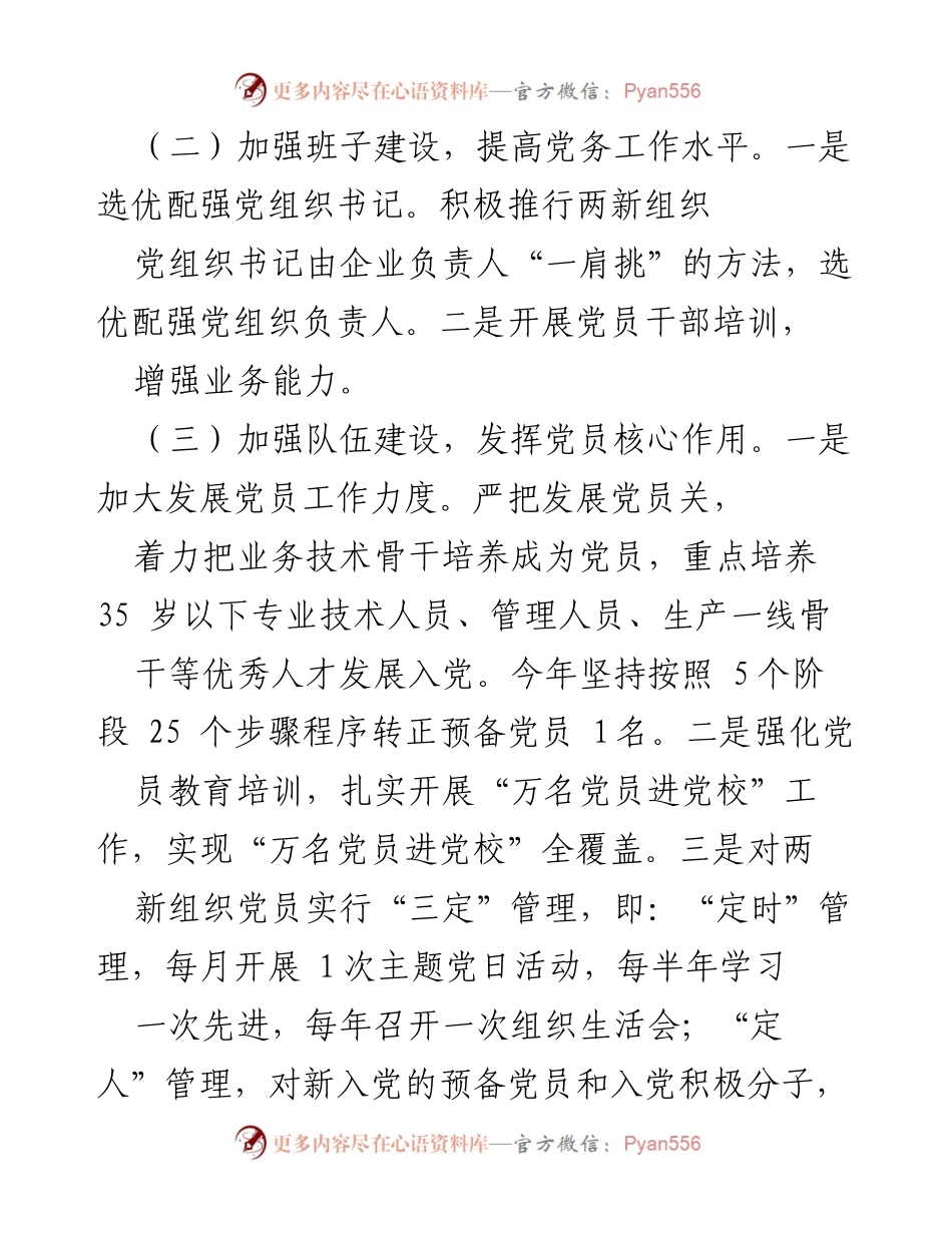 [述职报告] 党建工作 - 202X年度抓两新组织党建工作述职报告.docx_第2页