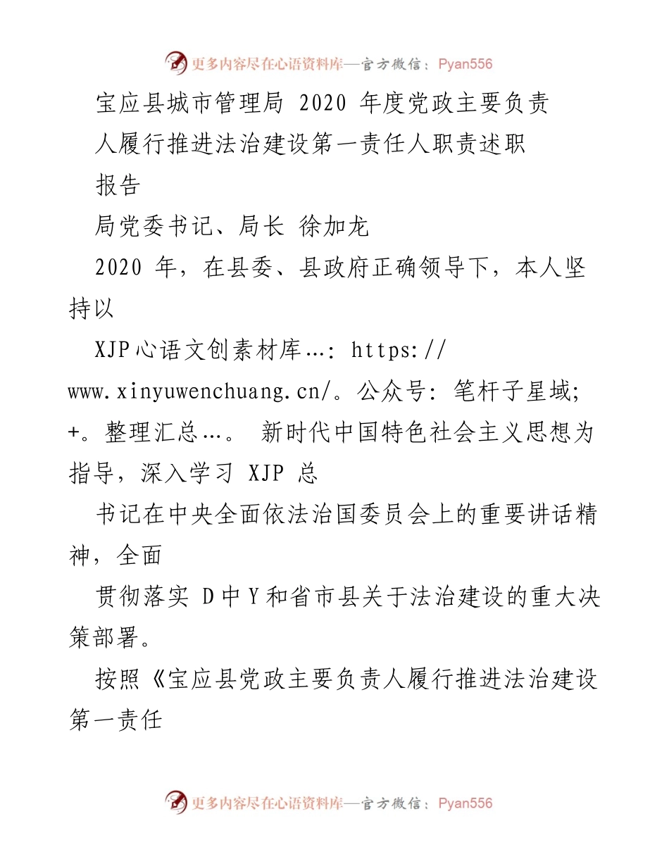 [述职报告] 党政工作 - 2020年度法治建设责任履行述职报告.docx_第1页