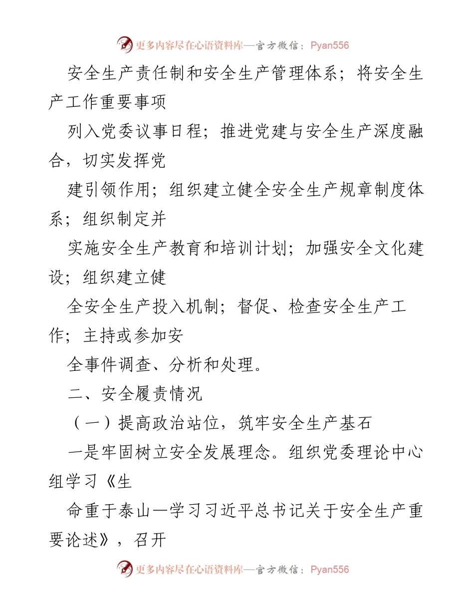 [述职报告] 党委书记安全工作总结 - 党委书记安全工作履责情况述职报告.docx_第2页