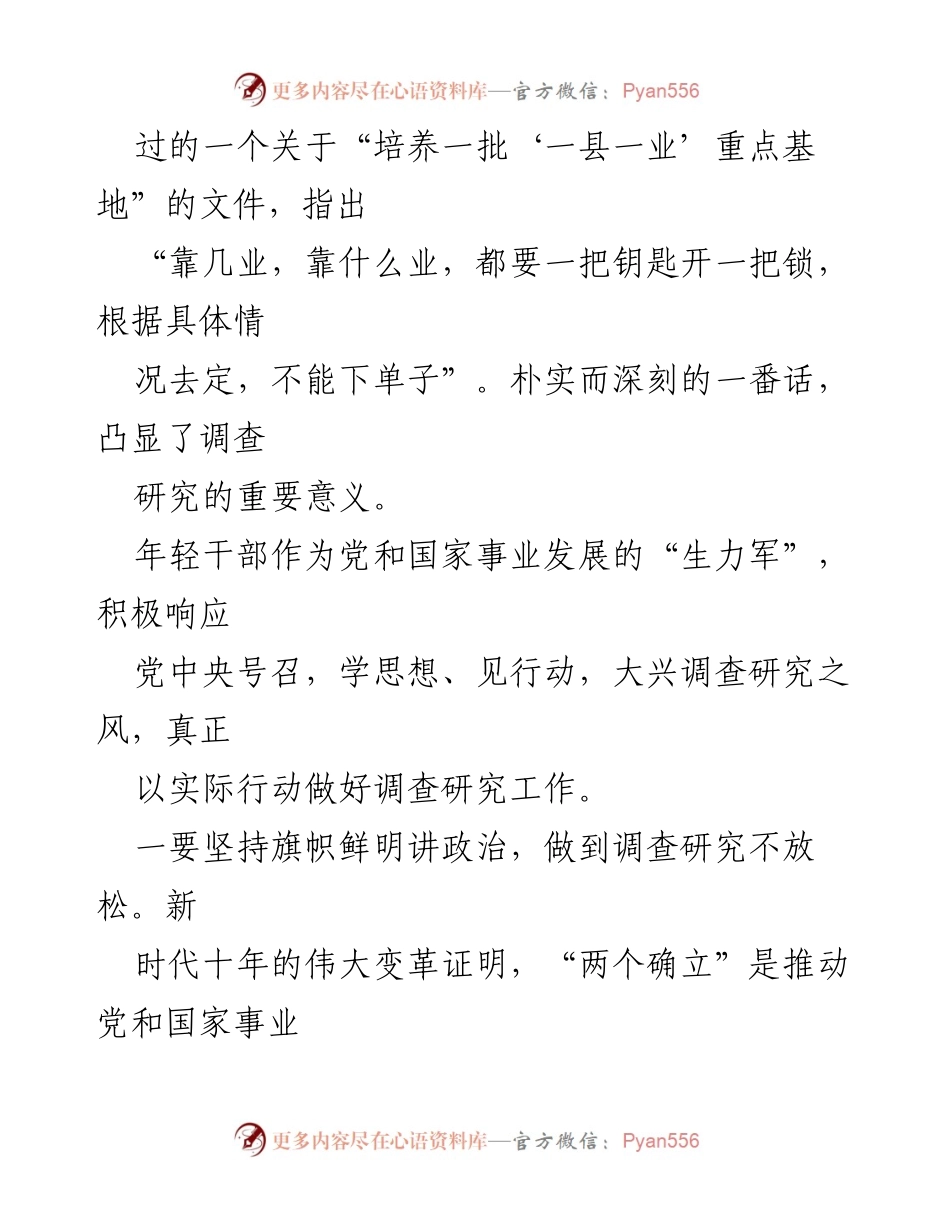 [调研报告] 政策落实 - 调查研究的重要性与年轻干部的实践心得.docx_第2页