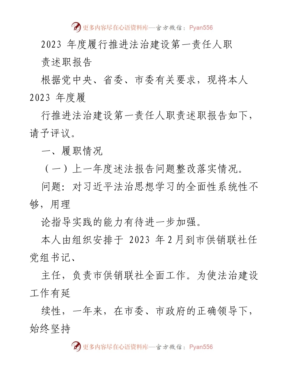 [述职报告] 2023年度法治建设履职 - 2023年度法治建设第一责任人履职述职报告.docx_第1页