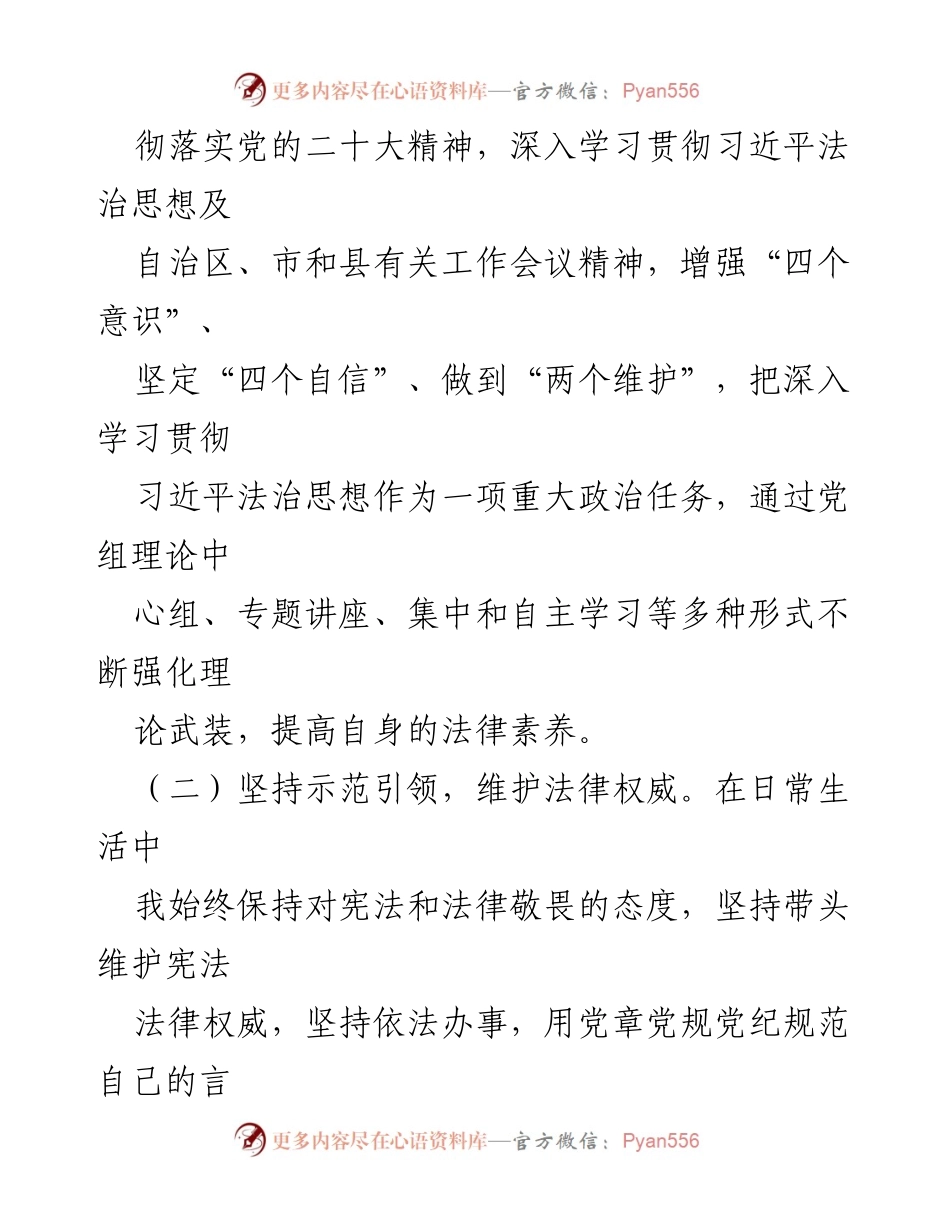 [述法报告] 政府工作 - 2024年度法治建设述法报告.docx_第2页