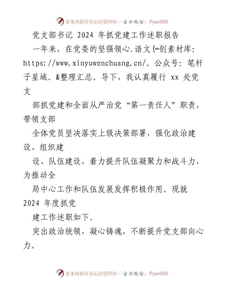 [述职报告] 党支部工作 - 2024年度党建工作述职报告.docx_第1页