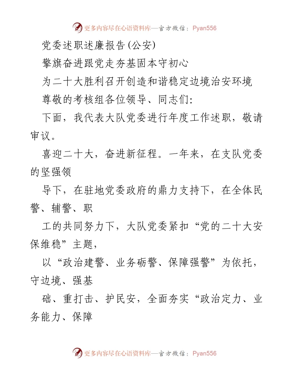 [述职报告] 公安党委年度工作 - 夯实边境治安，奋进新征程.docx_第1页