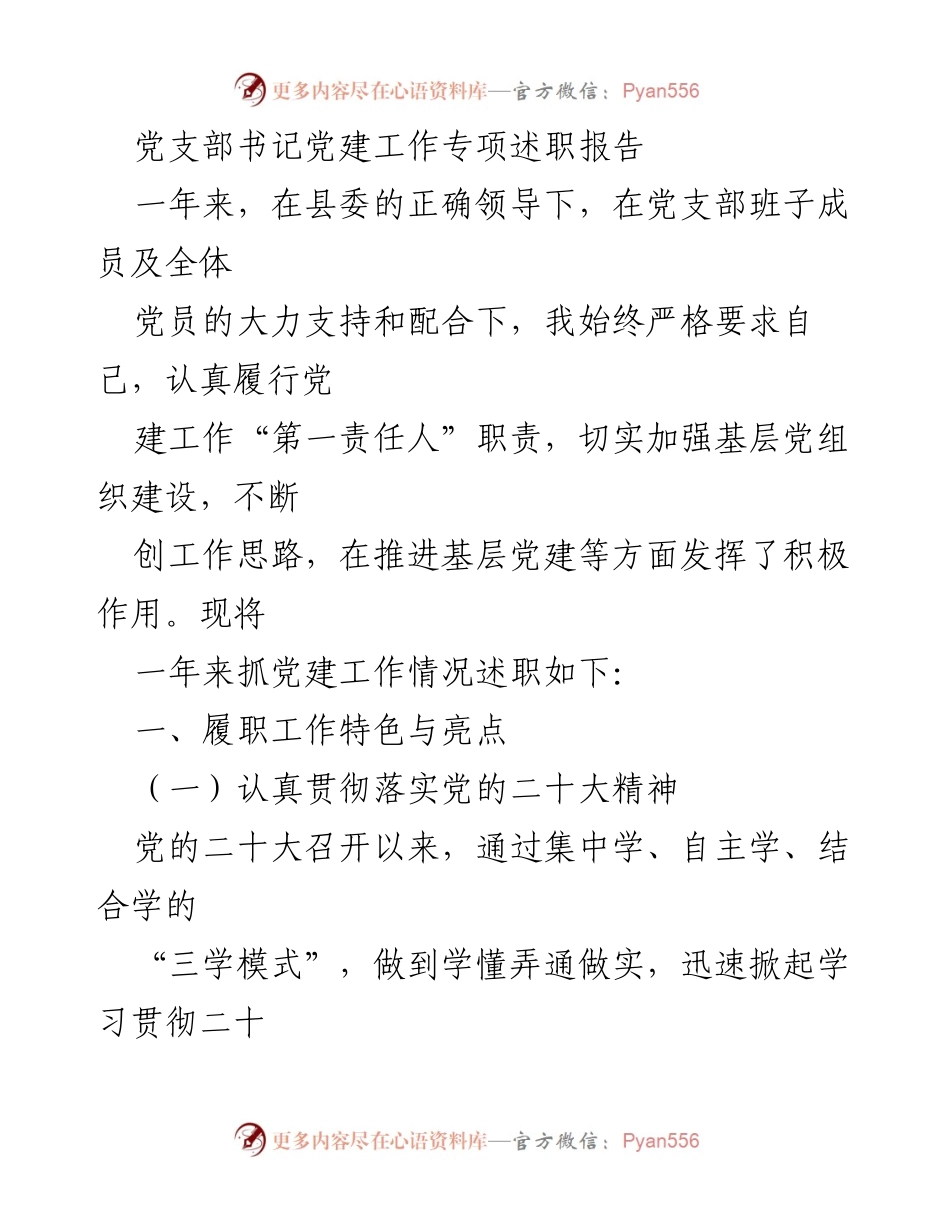[述职报告] 党支部工作 - 党建工作专项述职报告.docx_第1页