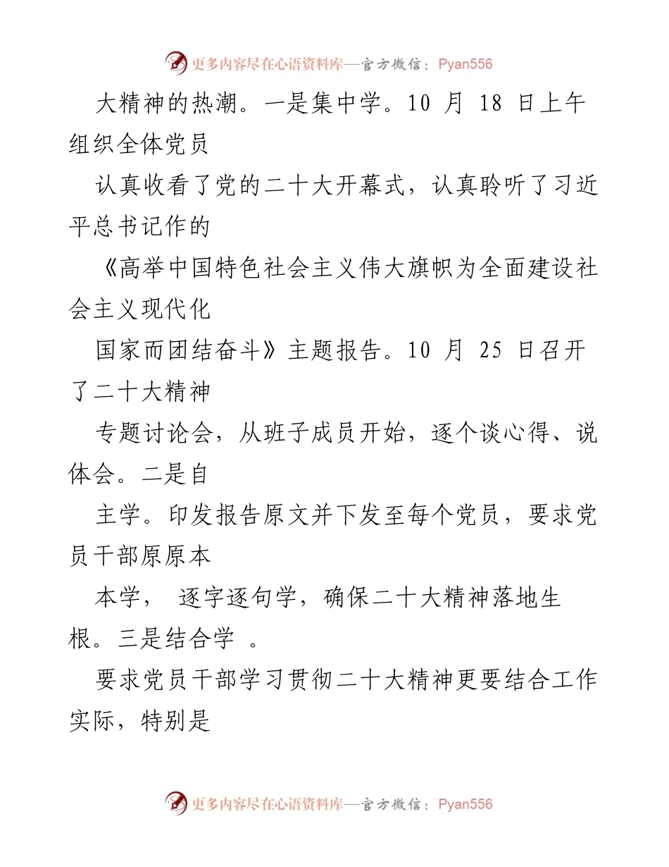 [述职报告] 党支部工作 - 党建工作专项述职报告.docx_第2页