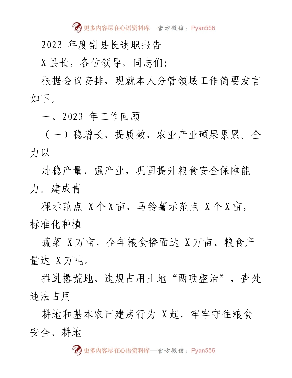 [述职报告] 会议 - 2023年度副县长工作述职总结.docx_第1页
