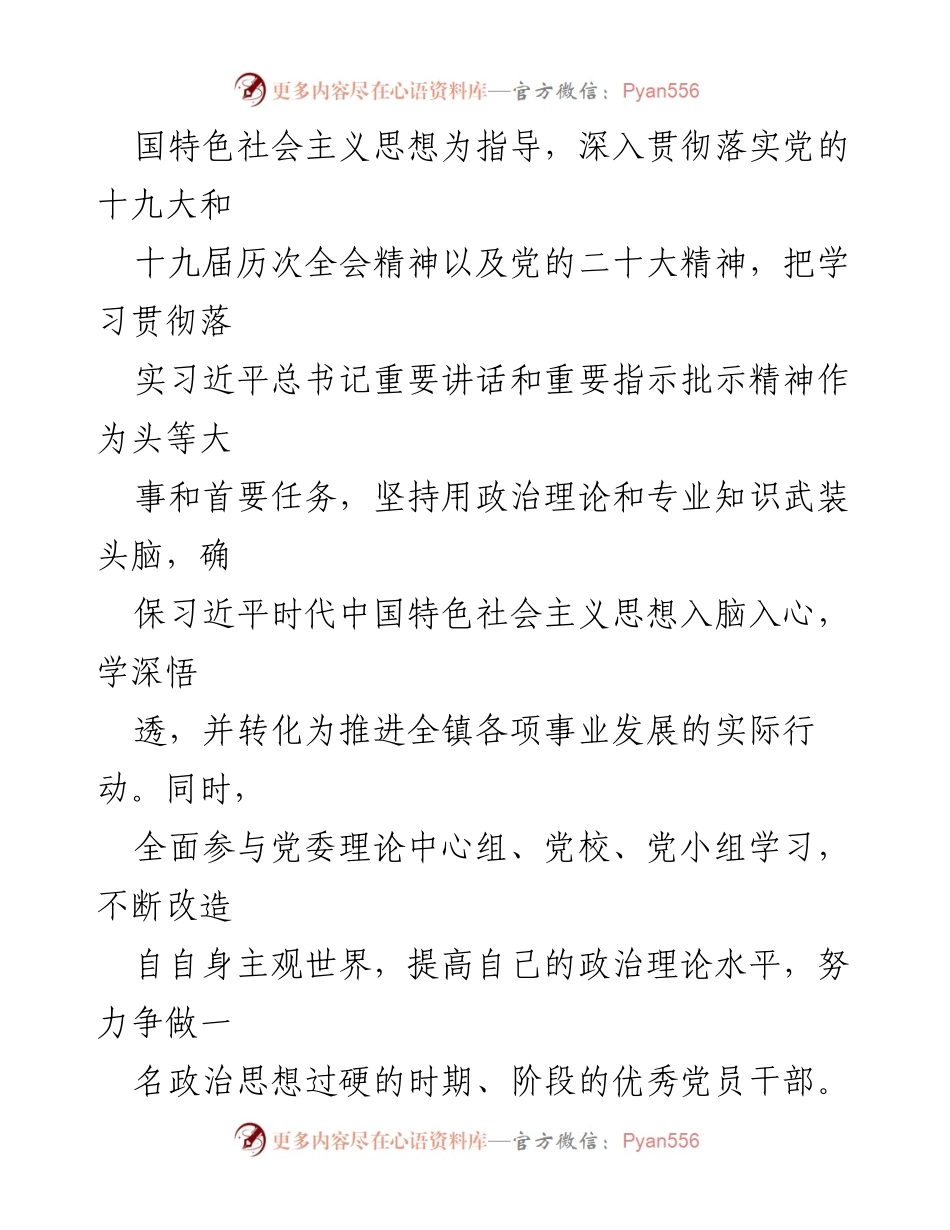 [述职报告] 乡镇年度总结 - 2022年度乡镇领导班子成员述职报告.docx_第2页