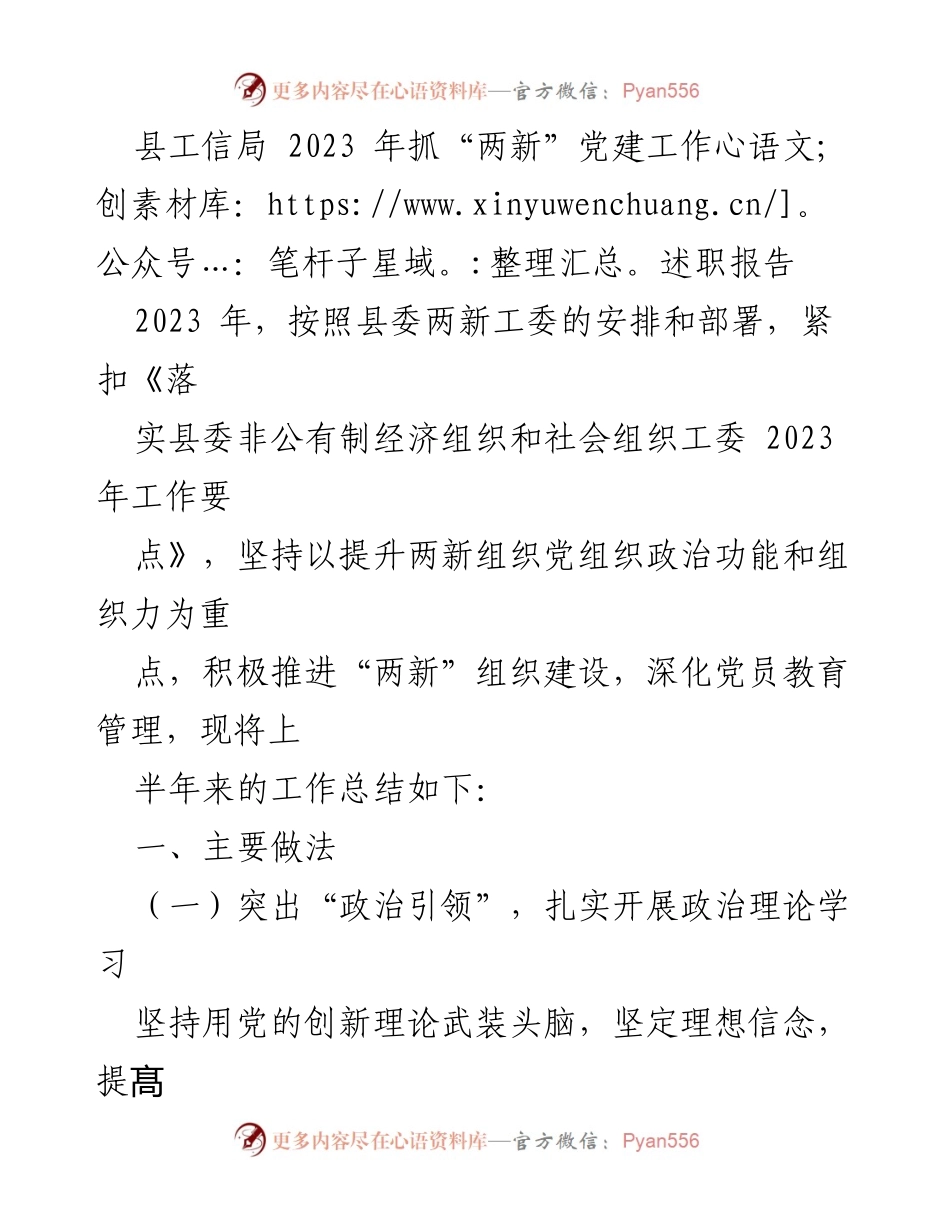 [述职报告] 县工信局 - 2023年“两新”党建工作总结与成效分析.docx_第1页