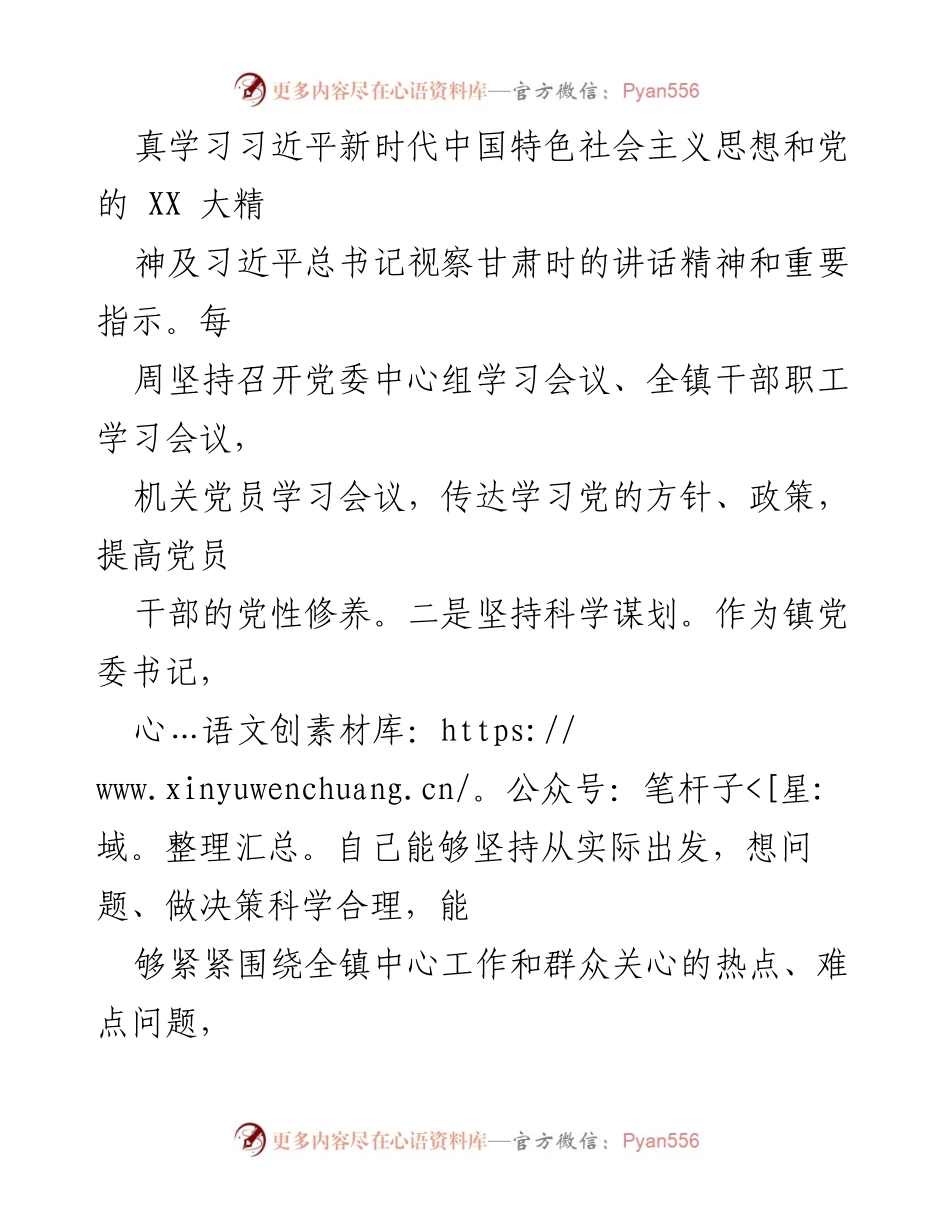[述职报告] 党委考核 - 2023年度XXX镇党委书记述职报告.docx_第2页