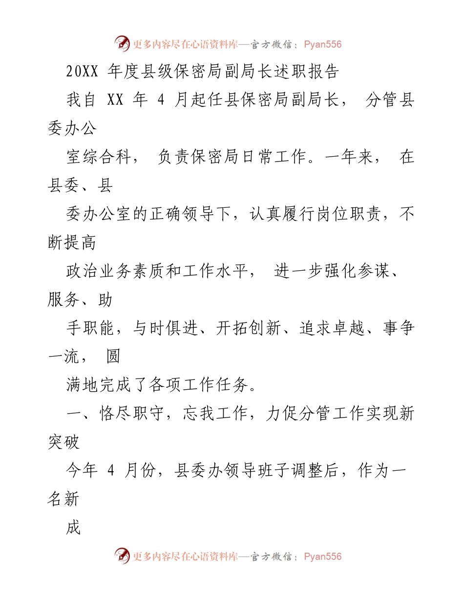 [述职报告] 县级保密局 - 20XX年度副局长述职总结与工作突破.docx_第1页