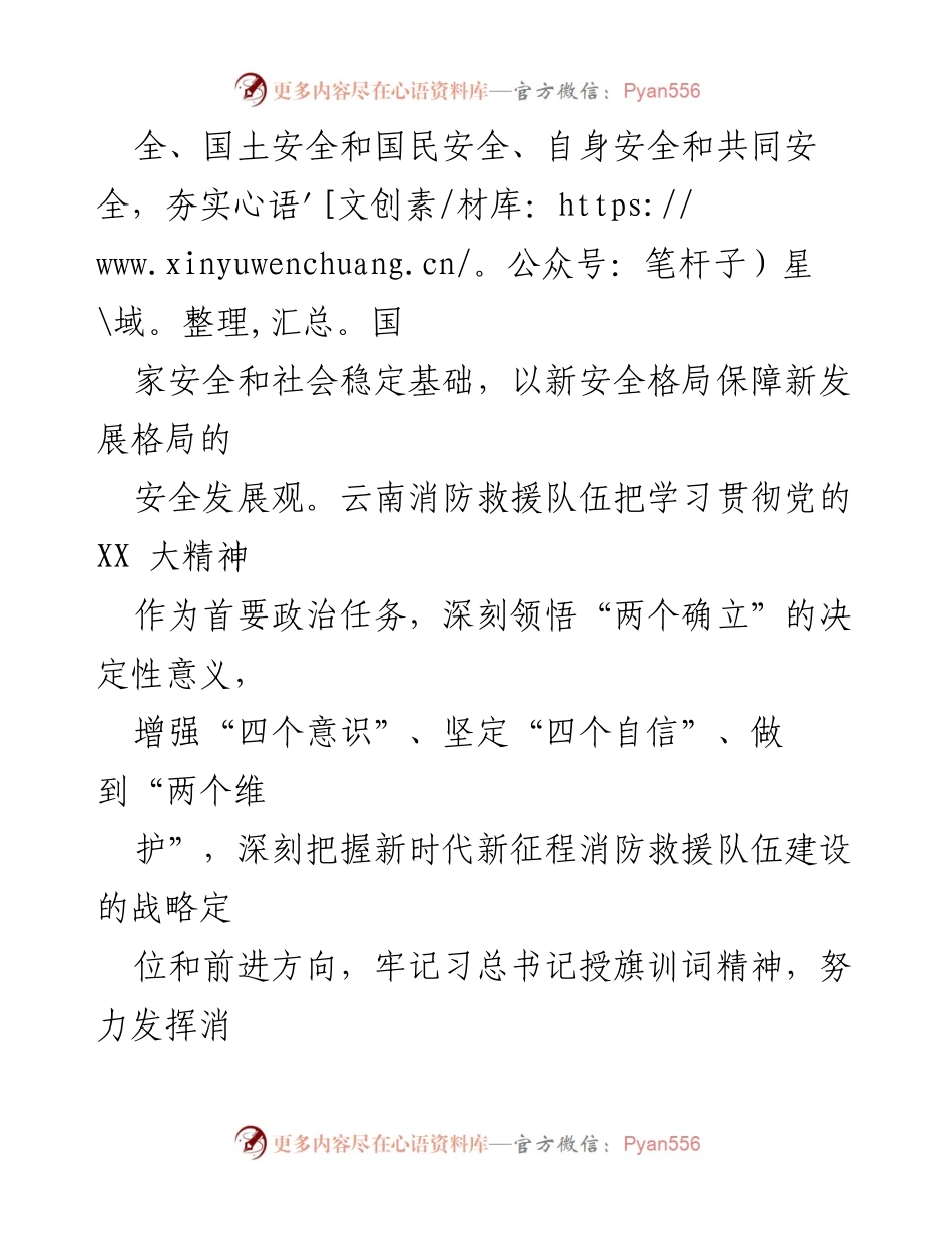 [调研报告] 消防救援工作 - 深入贯彻党的 XX 大精神 推动消防救援工作发展.docx_第2页