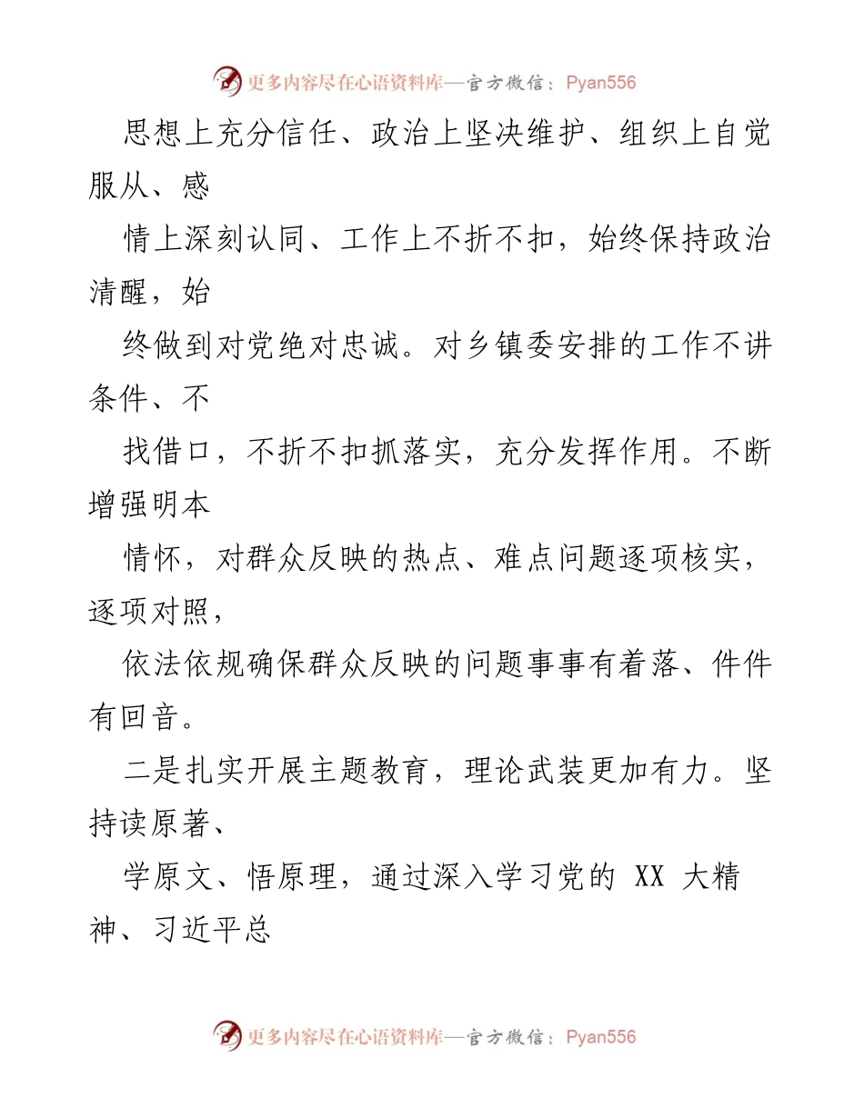 [述职报告] 乡镇委工作总结 - 坚守初心，聚焦主责：乡镇委述德述职述廉报告.docx_第2页