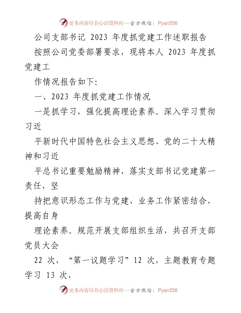 [述职报告] 公司支部书记年度总结 - 2023年度党建工作述职报告.docx_第1页