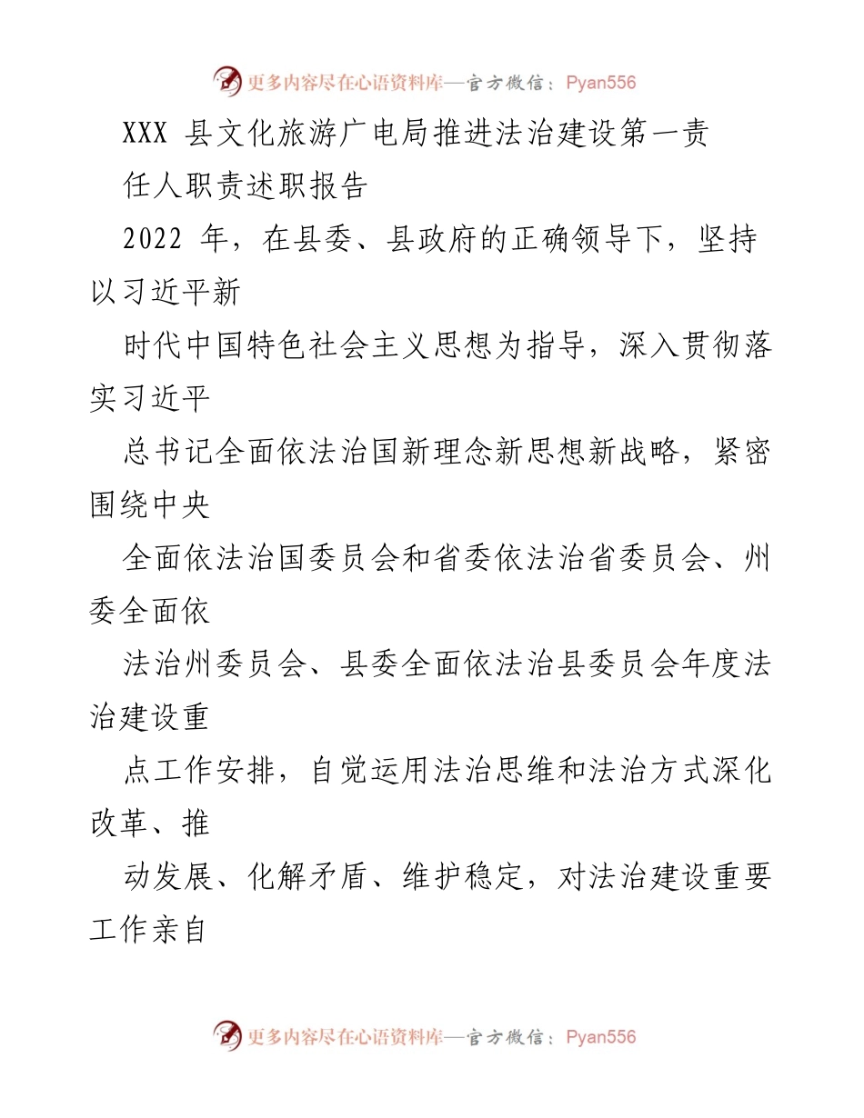 [述职报告] 文化旅游广电局 - 推进法治建设第一责任人职责述职报告.docx_第1页