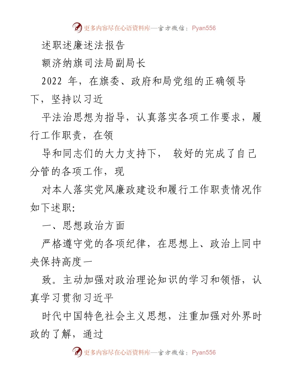 [述职报告] 述职大会 - 2022年度司法局副局长述职述廉述法报告.docx_第1页