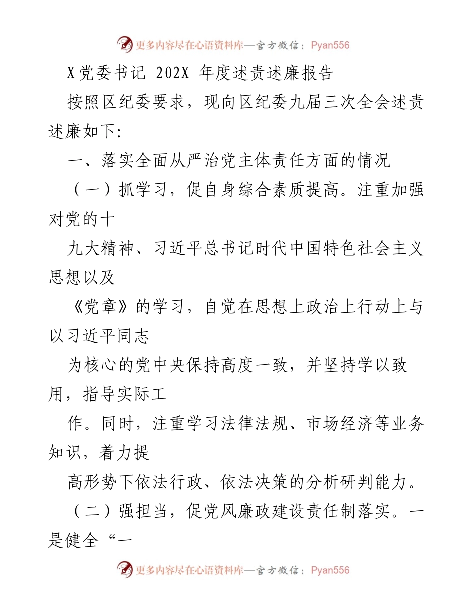 [述责述廉报告] 区纪委九届三次全会 - 202X年党委书记年度述责述廉报告.docx_第1页