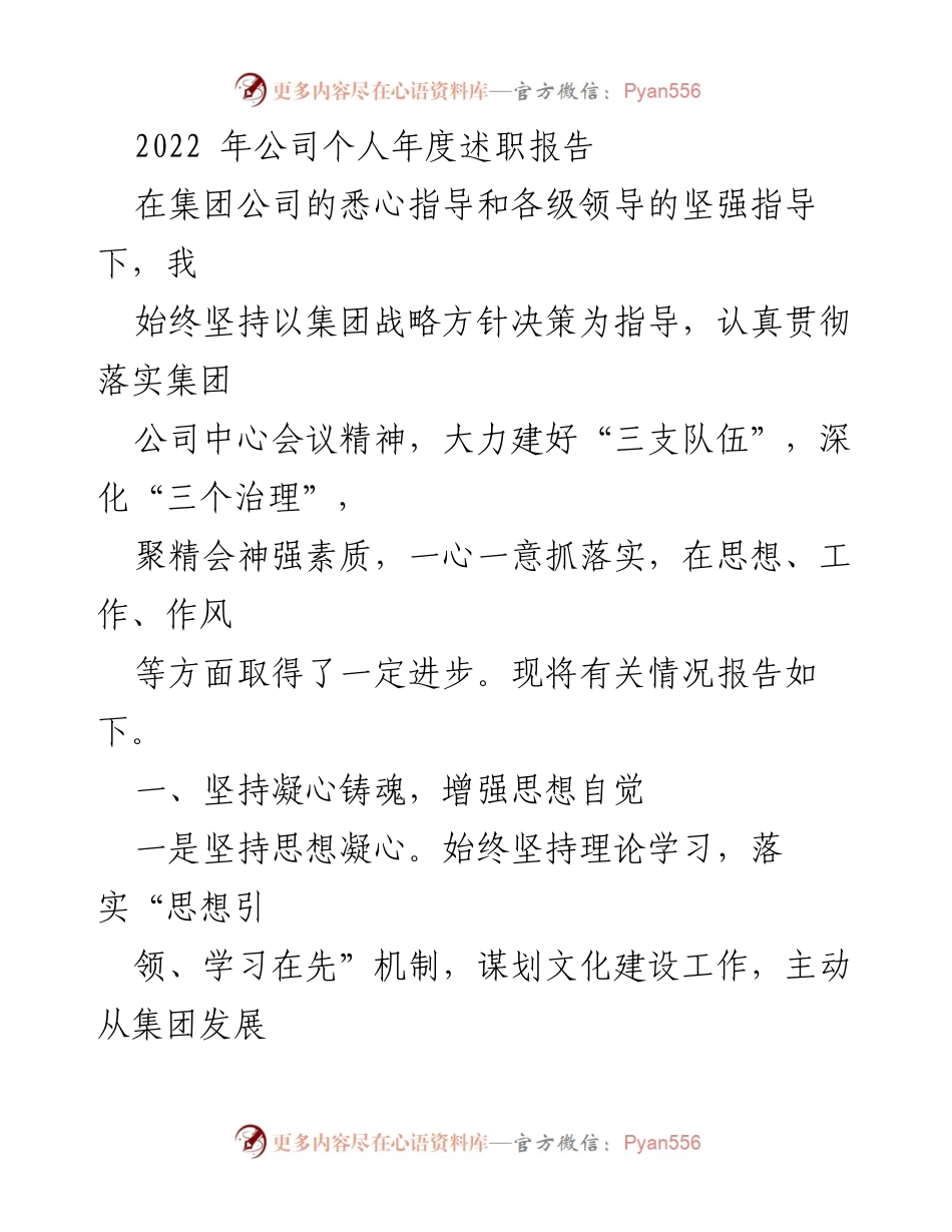 [述职报告] 年度总结 - 2022年度个人述职报告总结.docx_第1页